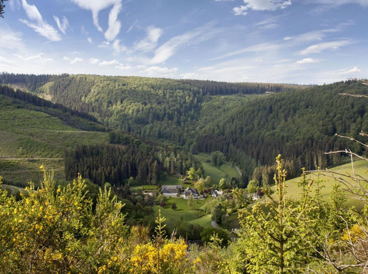 Hotel Gut Vorwald Schmallenberg Buitenkant foto