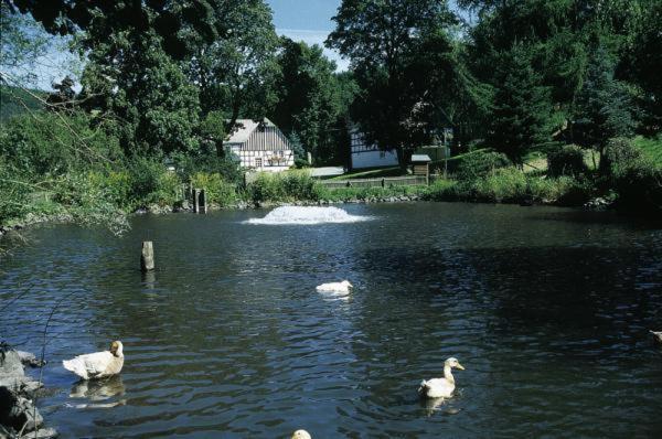 Hotel Gut Vorwald Schmallenberg Buitenkant foto